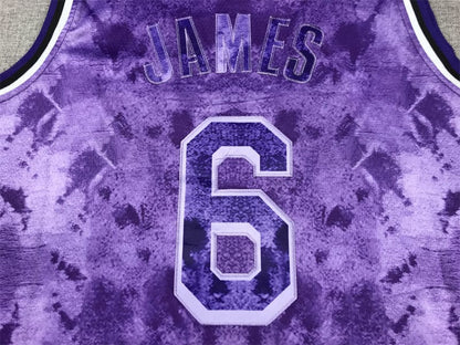 Lebron James LA Lakers Purple Jersey #6