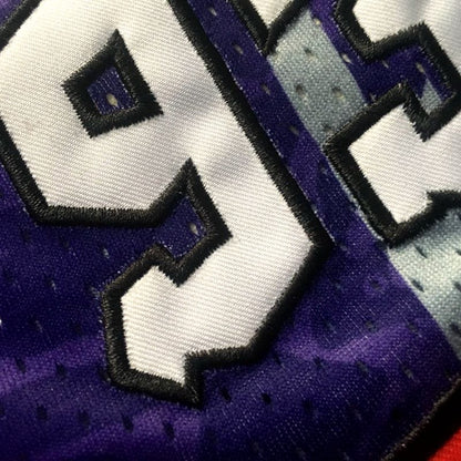 BAPE Toronto Raptors Jersey