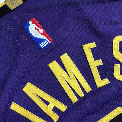 LeBron James Los Angeles Lakers Purple 6 MN
