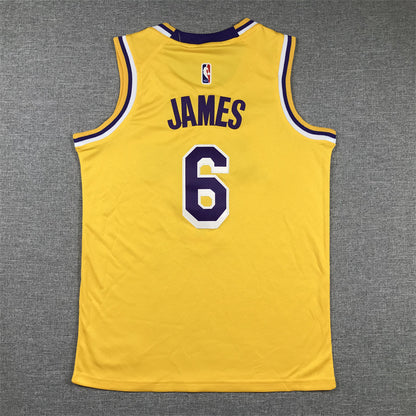 Youth LeBron James Los Angeles Lakers #6   Embroidered  Jersey