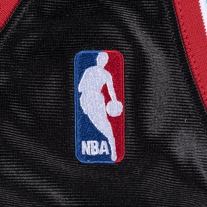 Memphis Grizzlies 2001-02 Jason Williams Jersey MN