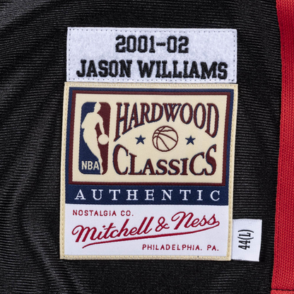 Memphis Grizzlies 2001-02 Jason Williams Jersey MN