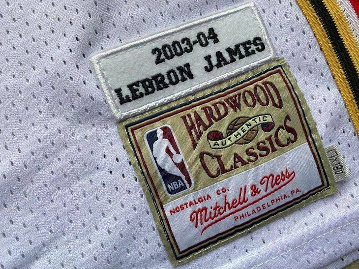 Cleveland Cavaliers LeBron James 23 White MN